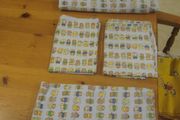 Single boys flat sheet set