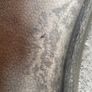 Michelin road 6gt 180/55/17 Image 6