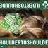 Holybed65