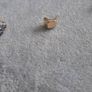 9ct gold earrings Image 4