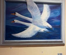 A commissioned painting of two swans with the wing of one swan overlapping the frame