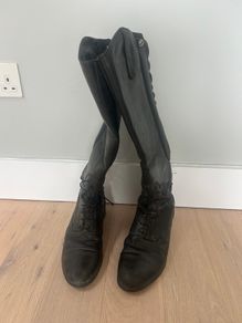 Equestrian