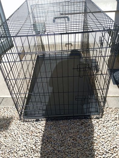 extra large dog travel crate