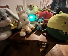 free teddies