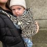 Bizzi Growin Baby Carrier Zebrano Image 2