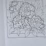 Drawing Books - Birds and Fantasy Figures  with 2 design source books  Decorative Initials & Flowers Image 8