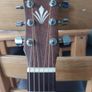 Harley benton Acoustic guitar Image 3