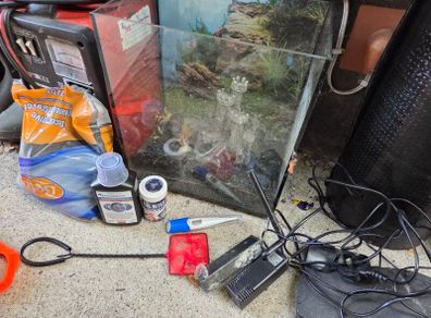 Small fish tank