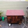 dog house Image 2