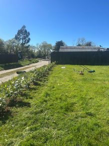 planting service
