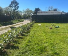 planting service
