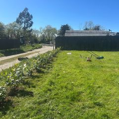 planting service
