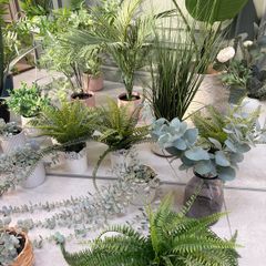 Faux plants