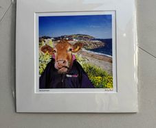 Kelly Hood Print 'Beef in the Beach'