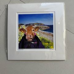Kelly Hood Print 'Beef in the Beach'