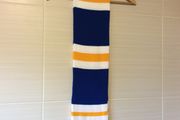 Leinster Rugby Scarf.Official Leinster Rugby Season Ticket Holders Scarf. Collect In Dublin Or Receive Via Post.
