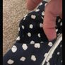 shorts Bnwt navy polka dot age 3-4 primark 100% cotton Image 6
