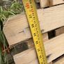 Wooden Pallets - Free - Great for DIY Projects Image 3