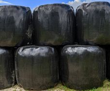 Silage