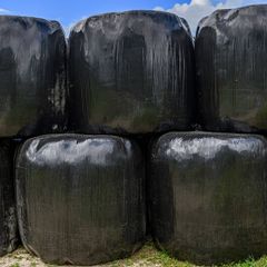 Silage