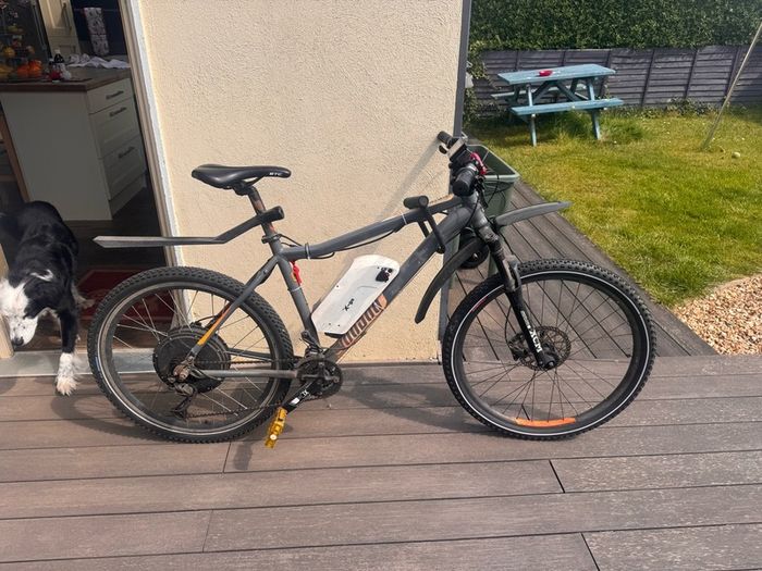 Ebike 1000W 48v 13ah back wheel drive electric bike mountain bike foldable bike