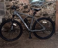 mongoose mountain bike