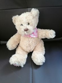 Teddy Bear
