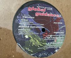 Various Global Guidance 12" vinyl