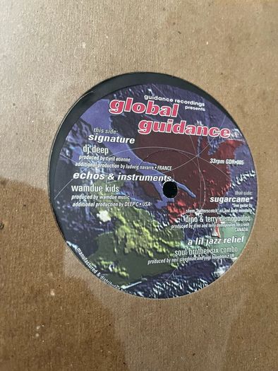 Various Global Guidance 12" vinyl