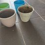 6 plant pots 3 ceramic and 3 plastic Image 8
