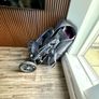 buggie Image 3