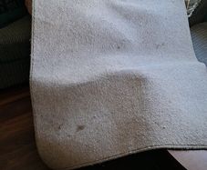 rug