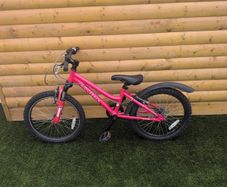 Ridgeback Girls Bike 20"