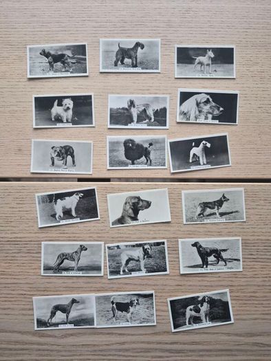 vintage cigarette cards from the "Champion Dogs"