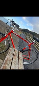 Fuji Feather Fixie Bicycle