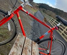 Fuji Feather Fixie Bicycle