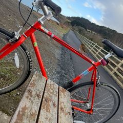 Fuji Feather Fixie Bicycle
