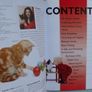 SALE!  THE KITTEN PACK - Making the Most of Kitty's First year - 2 books + DVD by Claire Arrowsmith Image 9