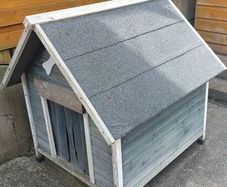 Kennel
