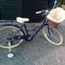 Ladies Bicycle Image 3