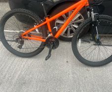 Ridgeback  bike