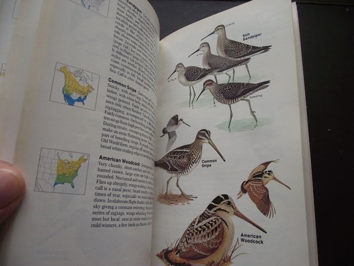 1987 "Field Guide To The Birds Of North America - National Geographic Society"