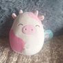 Plush toy bundle of 4 - Disney, Miniso, Squishmallow and Ale-hop Image 4
