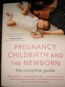 Pregnancy, Childbirth, and the Newborn (New edition) by April Bolding