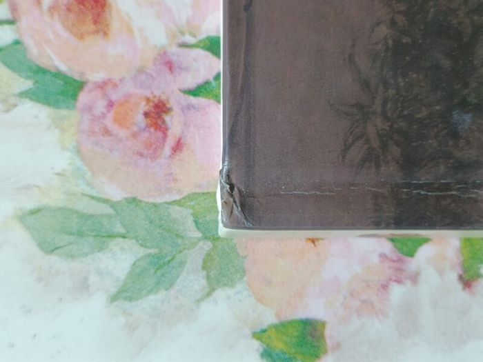 Angels Day Book - Dateless Diary / Journal (Hardcover)