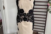 dress occasion brand comma size 12 beige with black lace