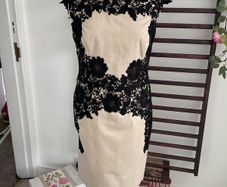 dress occasion brand comma size 12 beige with black lace