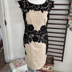 dress occasion brand comma size 12 beige with black lace