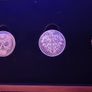 Bicyce card box set with coins LIMITED EDITION Image 2
