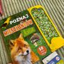 set for polish kids Image 7